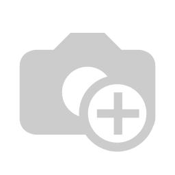 Website Vistors
